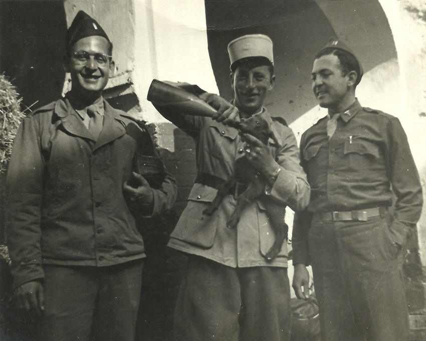 Needles-Linn-FrAlg-Cohen