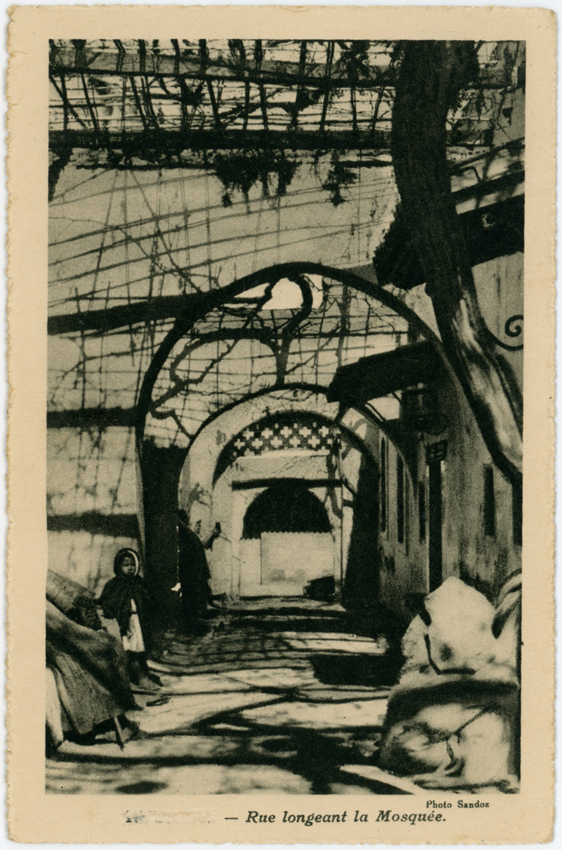 Griffin-Collection-Postcards-1-Tlemcen